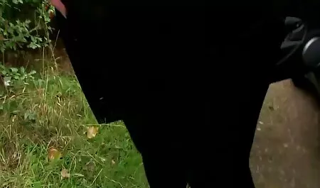 Polla fuerte anal subtitulado explosión en lindo ano